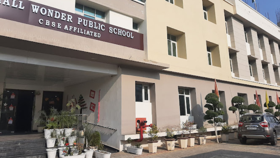 Small Wonder Public School , Hisar