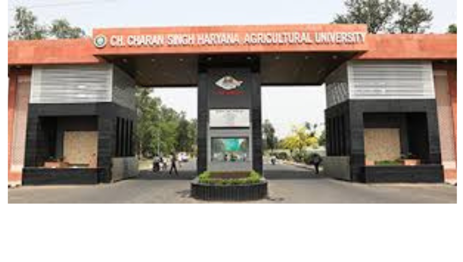 Chaudhary Charan Singh University Hisar