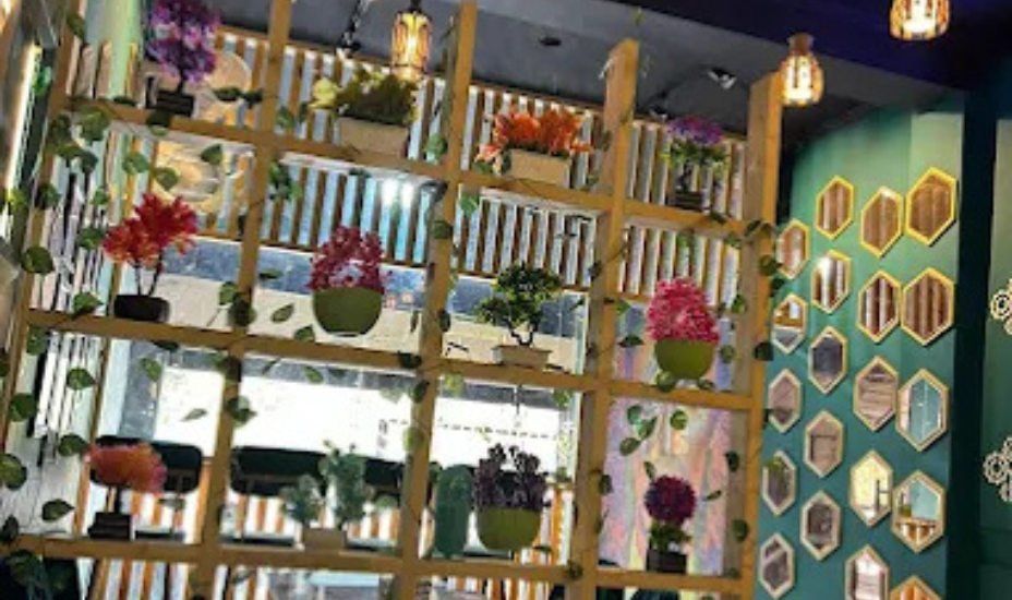 Brew N Bites , Hisar