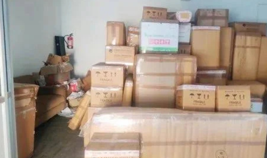 Go Green Relocators, Hisar