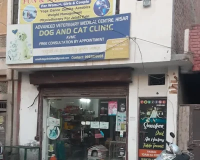 Cat-Clinic-Hisar