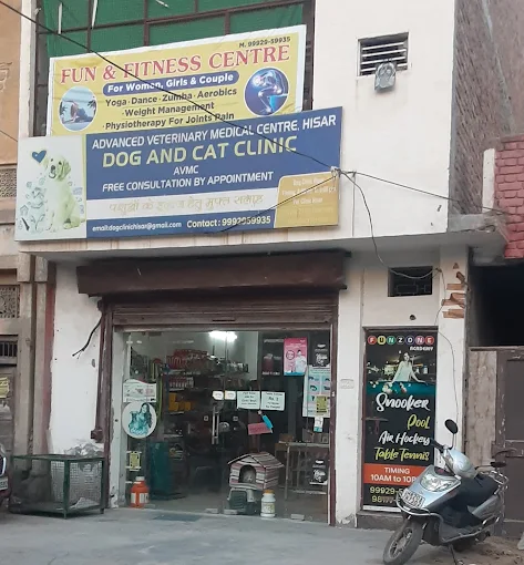 Dog and Cat Clinic Hisar