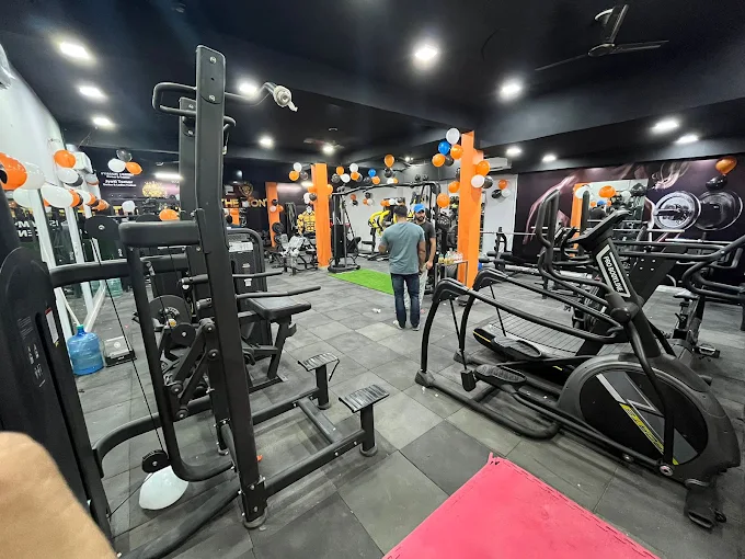 The Lion’s Gym – Hisar