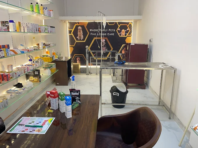Pet Town Dog and Cat Clinic Hisar Cantt