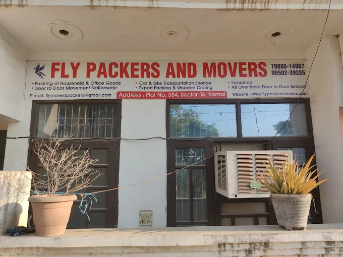 Fly Packers and Movers
