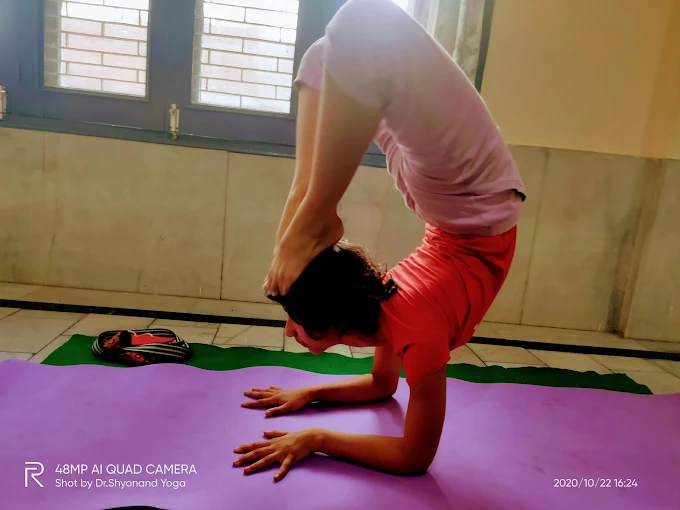 Women’s Yoga Class Hisar | ️Drishta Yoga Center