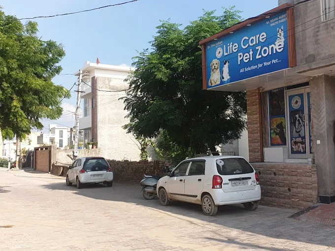 Life Care Pet Zone, Hisar