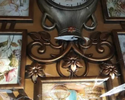 Life-Photo-Studio-Hisar