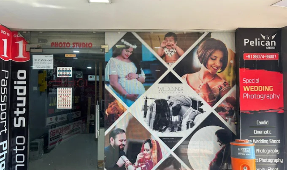 Pelican Shoot Photo Studio Hisar